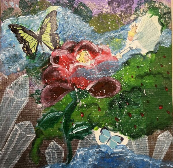 beeldverslag: de 5 rijken